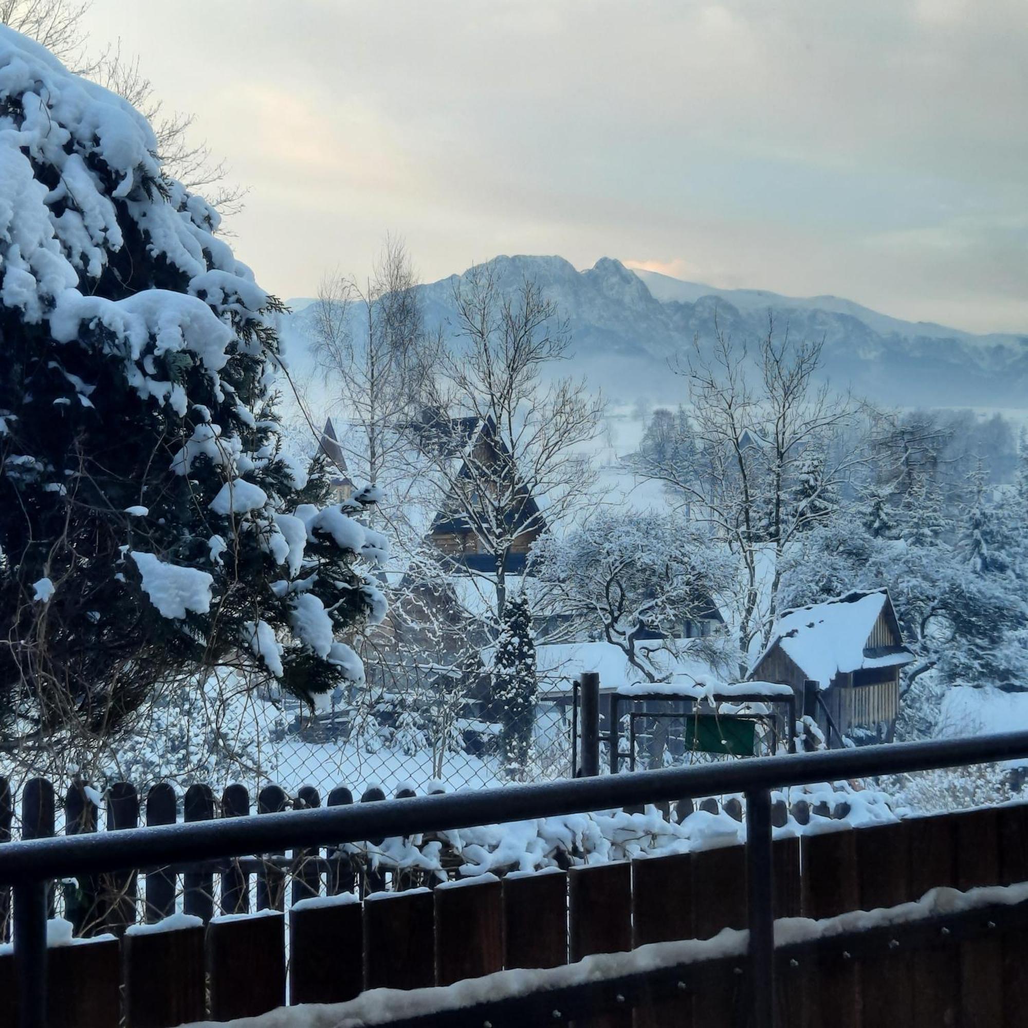 Bed & Breakfast U Bzyka Zakopane